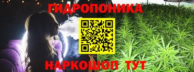прущие грибы Донецк