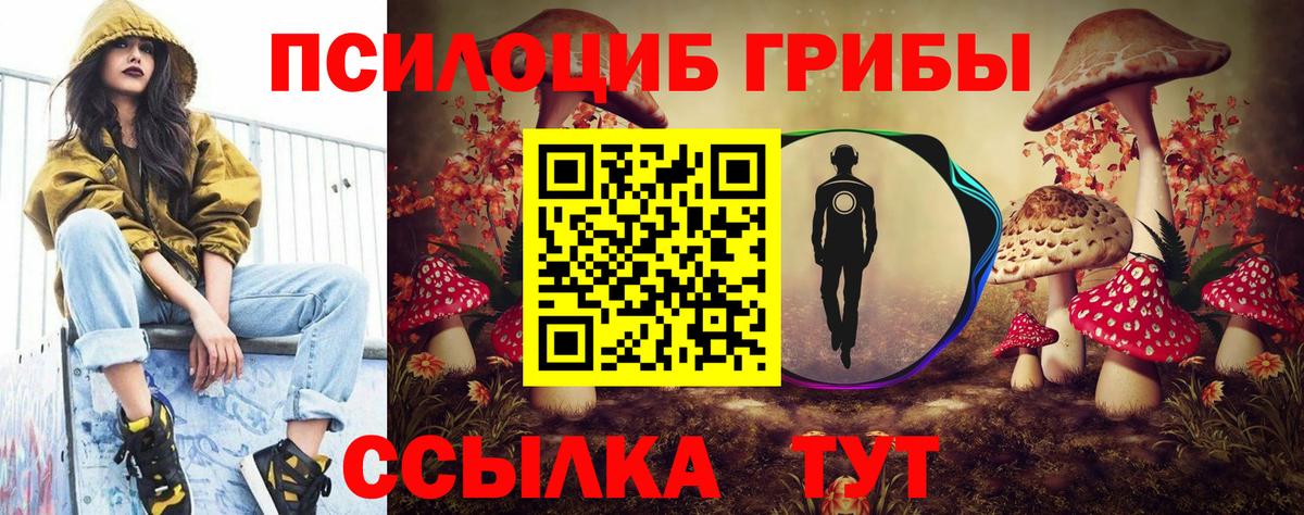 Псилоцибиновые грибы Psilocybe Семилуки