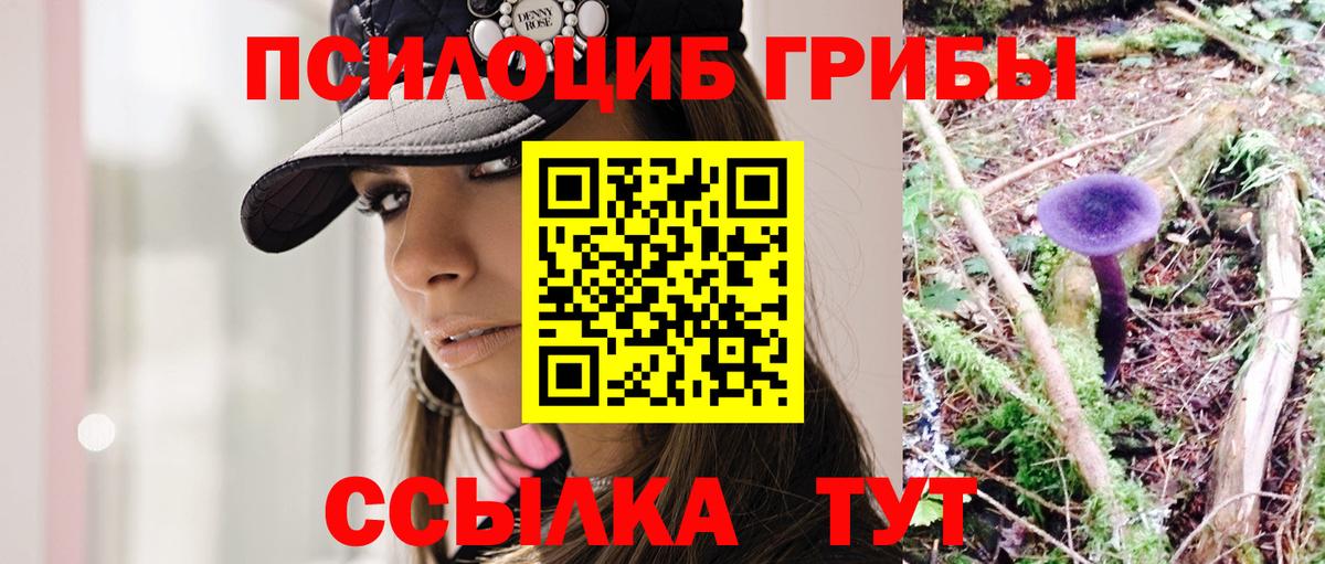 Галлюциногенные грибы прущие грибы  Семилуки 